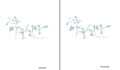 (20250206 표지) 국립민속박물관 - 한국의 마을신앙.png